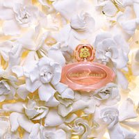 Gardenia Blossom + Gift