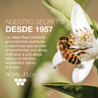 Royal Jelly Hydrating Lift Facial Serum