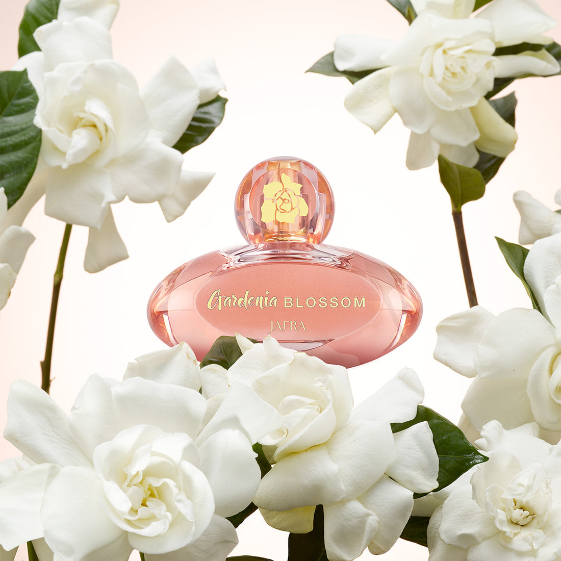 Gardenia Blossom