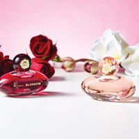 Blossom Fragrances